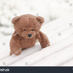 stock-photo-a-bear-climbs-on-snowy-stairs-1998094115.jpg